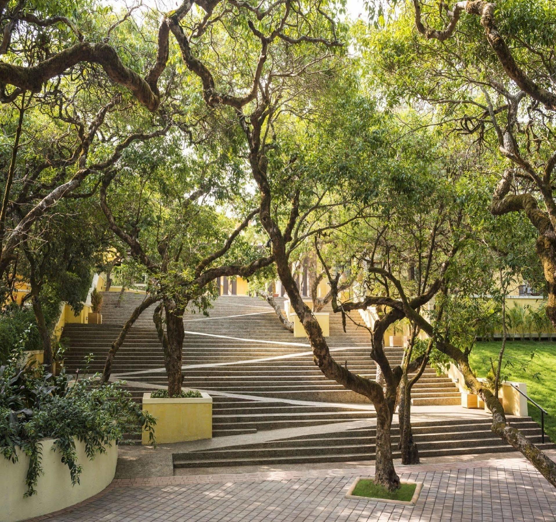 Le Meridien Mahabaleshwar Resort & Spa Dış mekan fotoğraf